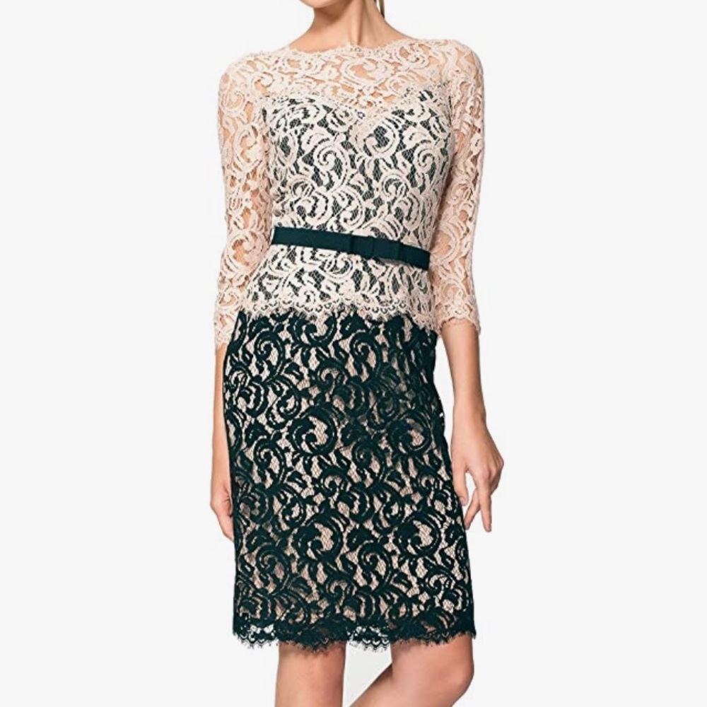 Tadashi Shoji Two-Tone Ivory and Black Lace Sheath Dress